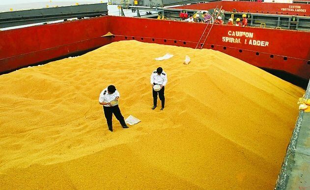 欧盟去年大豆进口量减少 美国缓解中美农产品