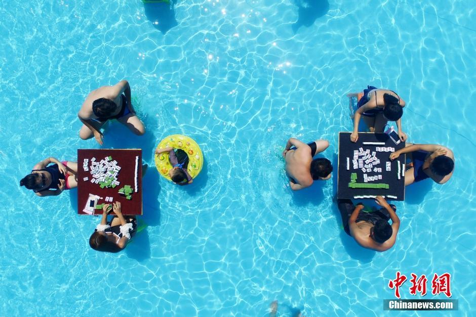 众多美女身着比基尼清凉参加麻将大赛。