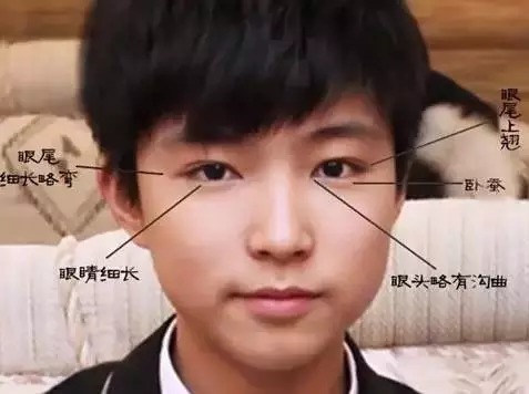 什么是桃花眼?桃花眼的命运是什么样?