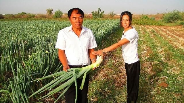 直击中国农民到非洲开农场,自己修路开荒,种出