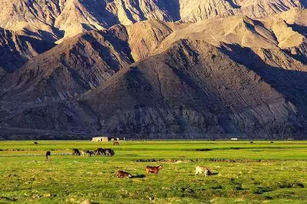 再下一城!巴基斯坦宣布对中国免签!意航再来!含