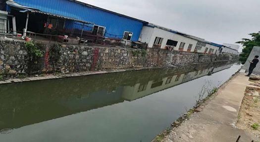 黑臭水体整治行动2018丨曝光台:广东东莞,安徽