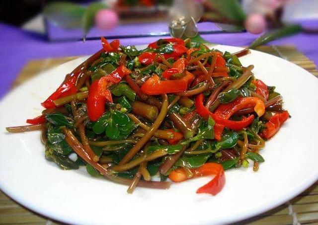 春天来了,带大家认识一些可以食用的野菜.