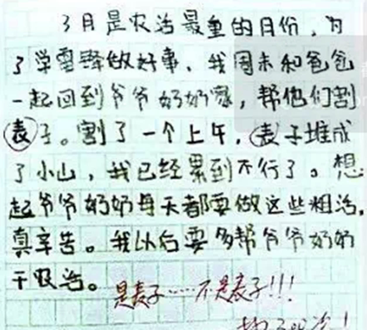 这4篇小学生作文,套路极深,老师看了摇头,家长