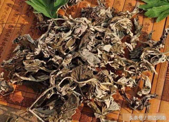 艾叶泡脚,对女人有这5大好处,那问题来了一周