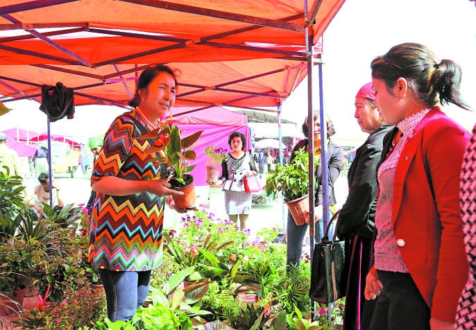 帕力旦:勤劳双手种出“幸福花” 帕力旦:勤劳双手种出“幸福花”