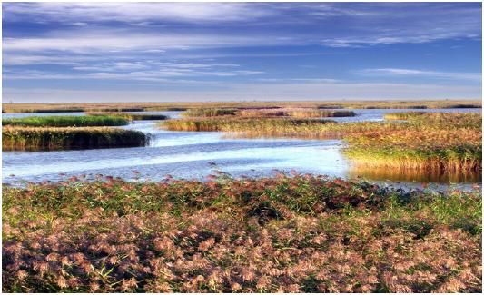辽宁除了大连,最富的不是沈阳、不是鞍山,而是