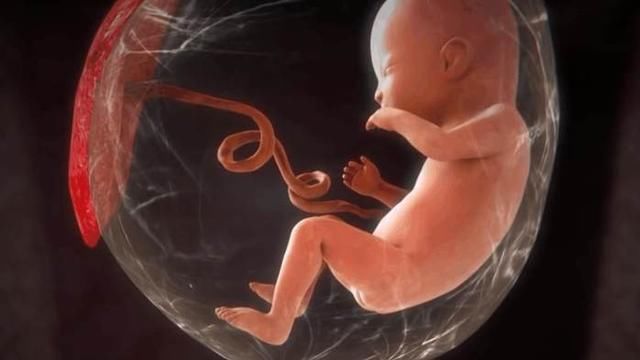 为什么有人很难怀孕,有人却一碰就会受孕,主要