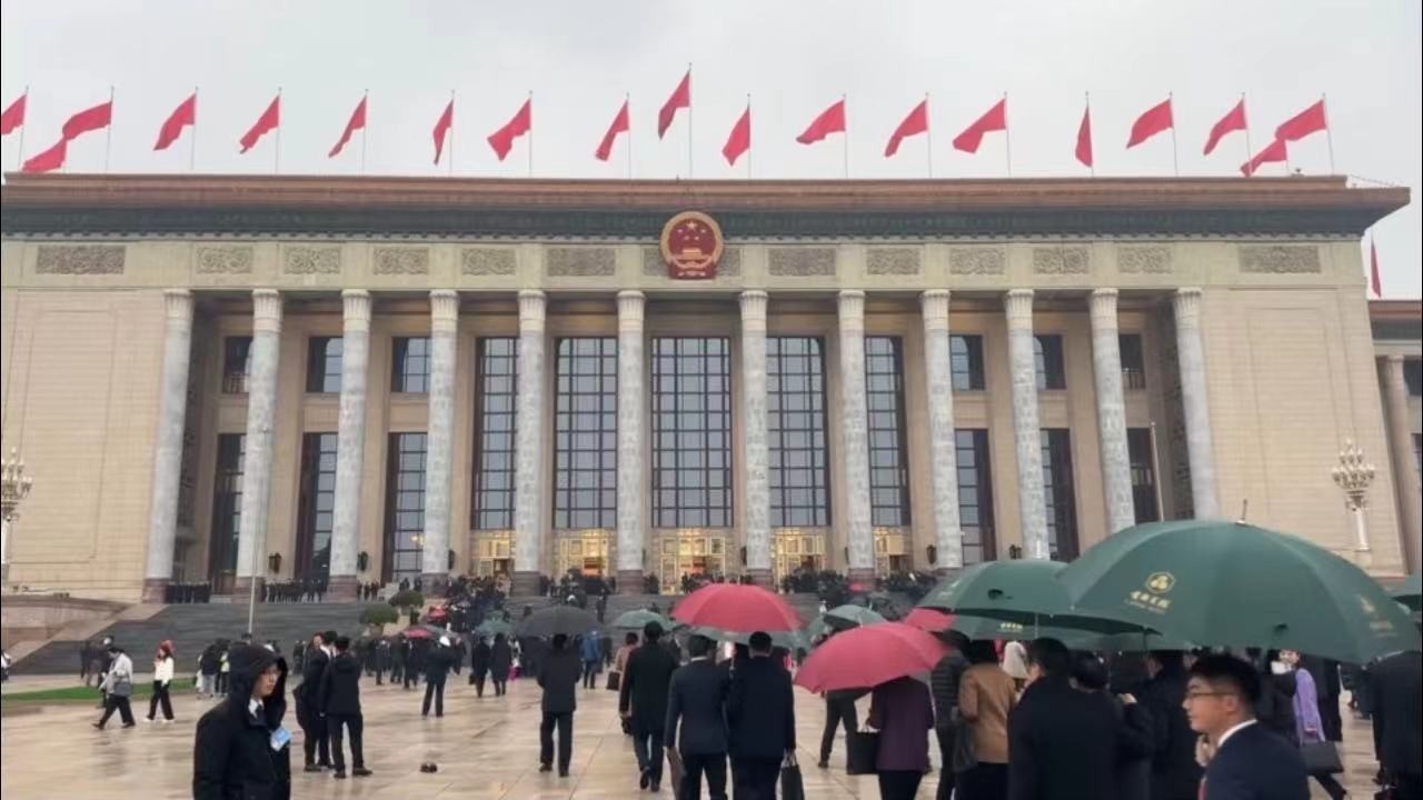 如何发展新质生产力？代表这样说--