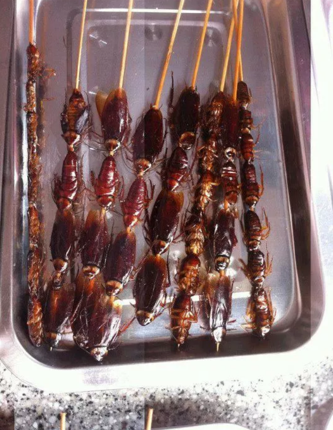 扩散周知!遇见蟑螂万万别上脚踩了 否则或有致命后果