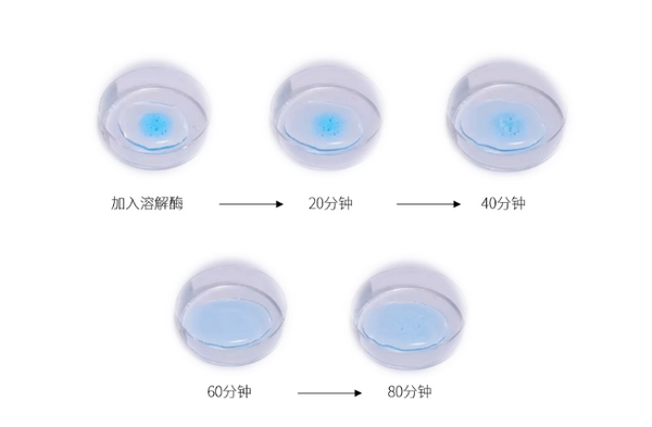 1568961618301456.png 逆时光雕刻 玻尿酸黑科技——玻菲玻尿酸(图5)