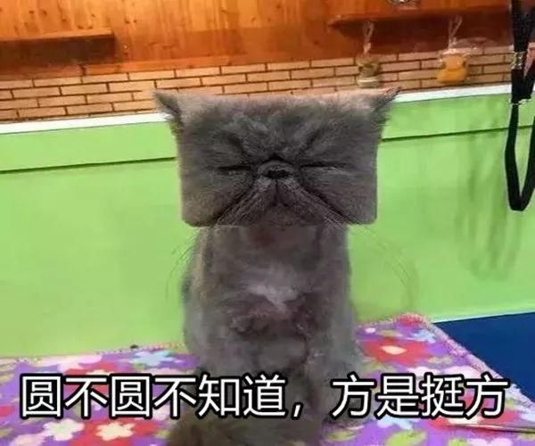 熊孩子猛推孕妇被打:没教养,到底多可怕?