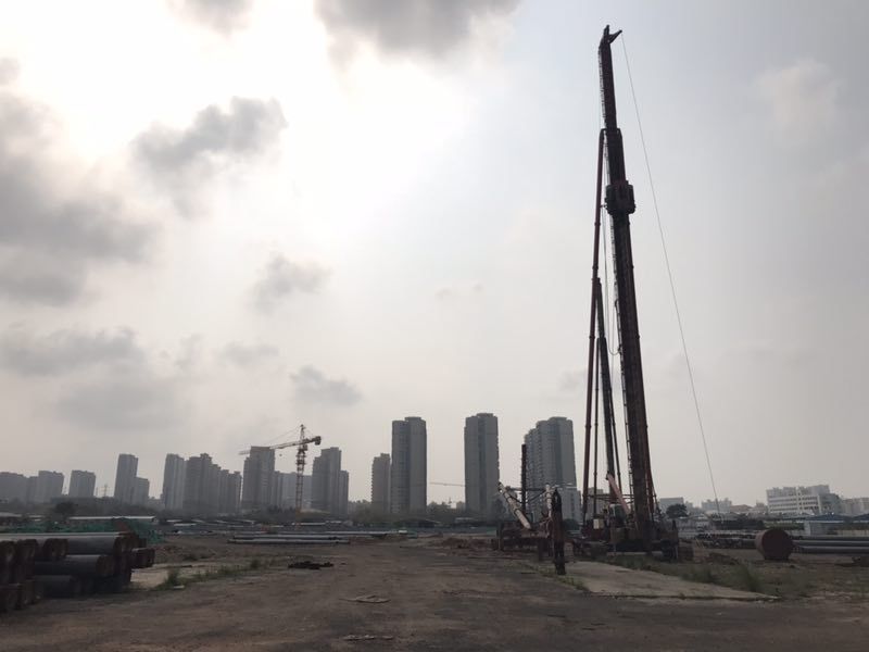 海南赛马有望破冰!罗牛山股份携手第一赛马网