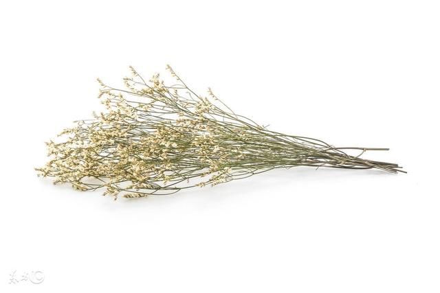 戌狗人:一辈子的婚姻幸福 尤其是1982年