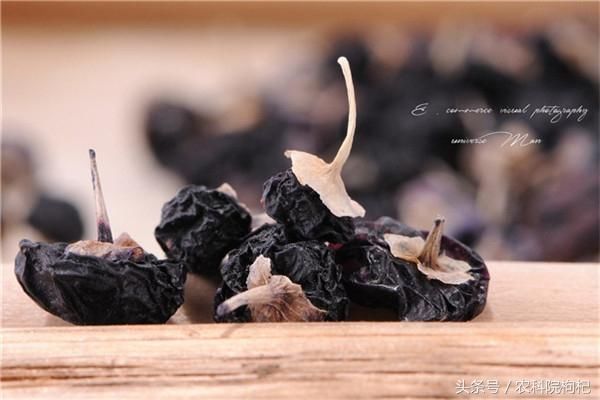 黑枸杞一次泡几颗,黑枸杞如何泡水喝?