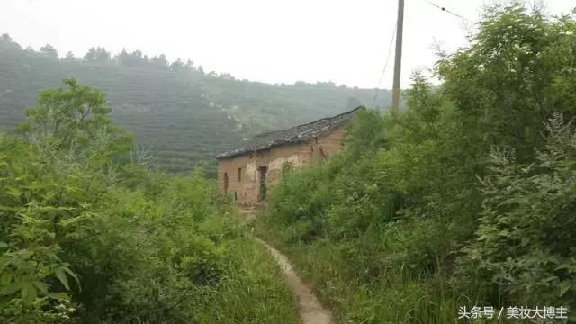 你泡的信阳毛尖为何是浑浊的?造成信阳毛尖浑