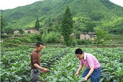 2018年农业保险政策:贫困农户买保险费率下降