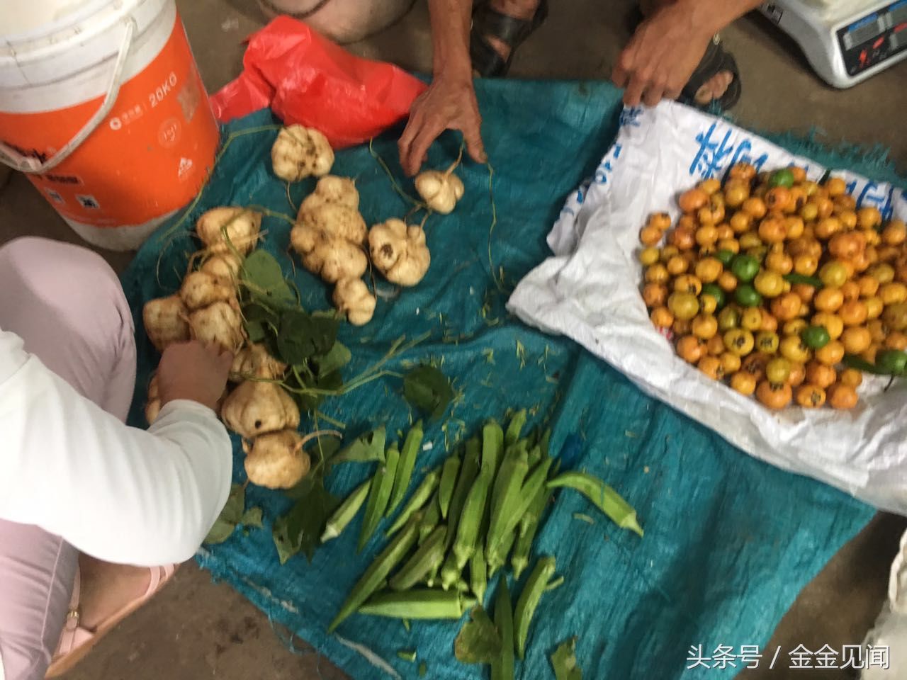 广西钦州:农民大叔卖的本地野生山竹,5元一斤