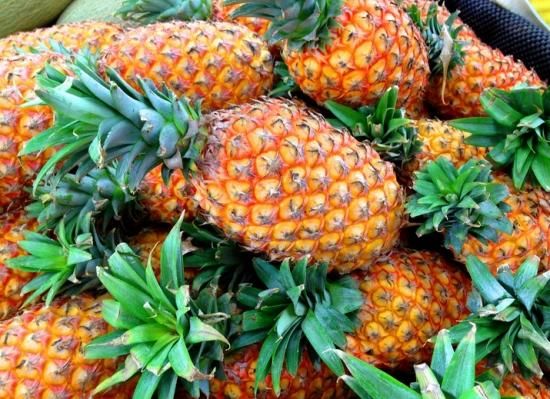 吃完菠萝先别急!留下菠萝头当盆栽,即是盆景有