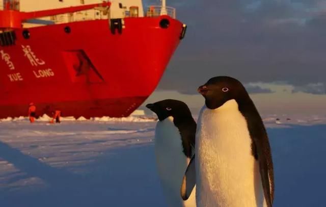 中国人种菜天赋爆发,沙漠南极只要我们愿意,哪