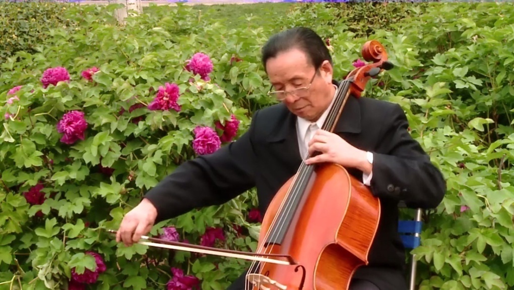 翟渊国大提琴独奏专辑梁祝