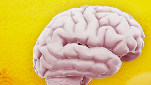 《养生堂》20181013用“吸尘器”拯救大脑