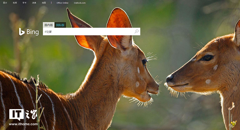微软必应(Bing)搜索国际版悄然上线