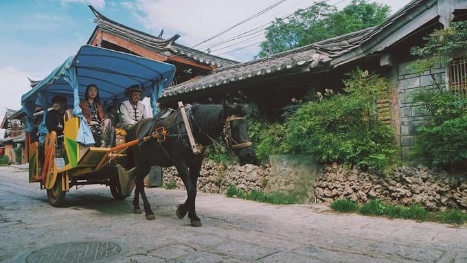 矮矬穷与土肥圆,两对情侣汪在丽江秀恩爱