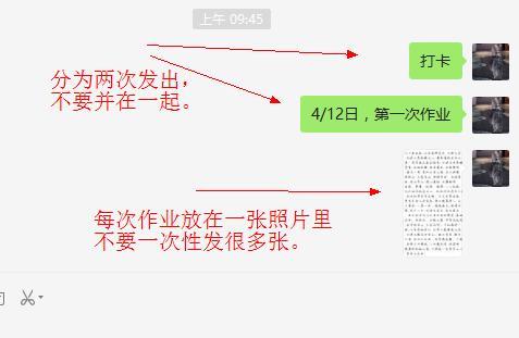 免费学中医|006足阳明胃经的循行路线和穴位图