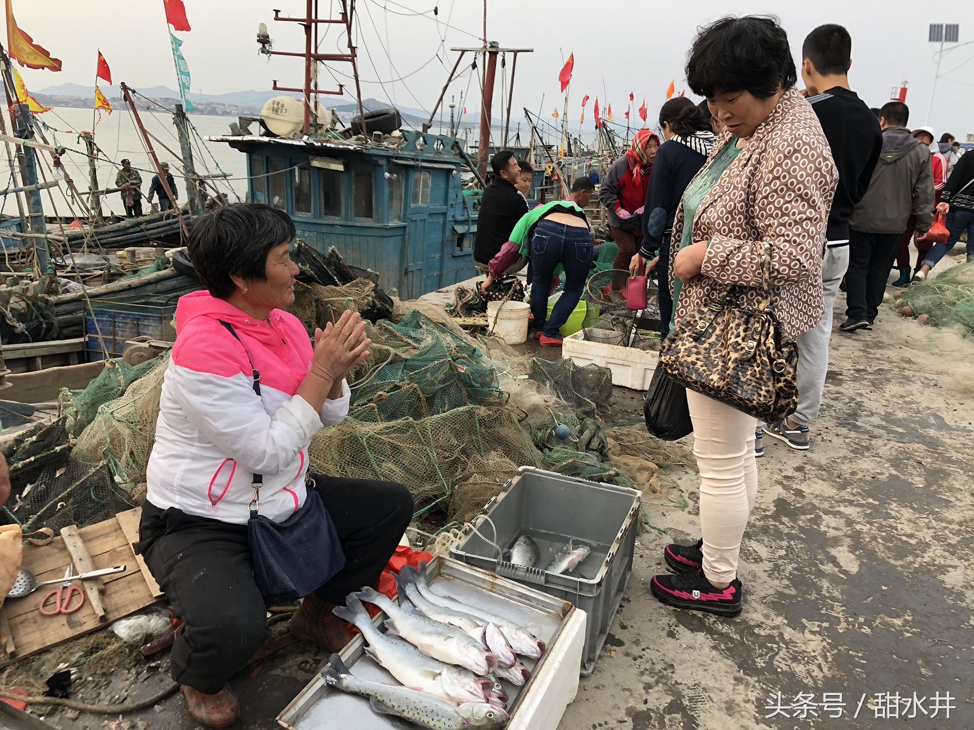 码头上的龙利鱼120元一斤红头鱼才2元一斤 皮