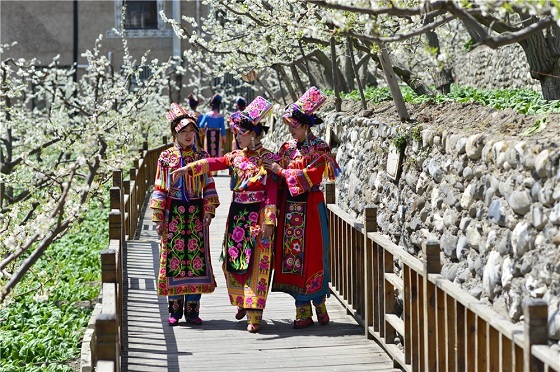 9、李花丛中的羌族姑娘 摄影 李国平.JPG