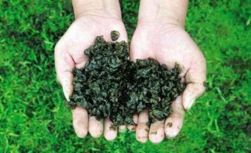 农村才有的山珍野味, 农村人嫌脏不愿吃, 抗癌性