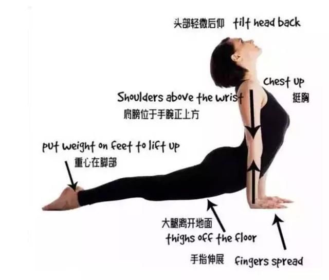 阿斯汤伽瑜伽初级入门教程
