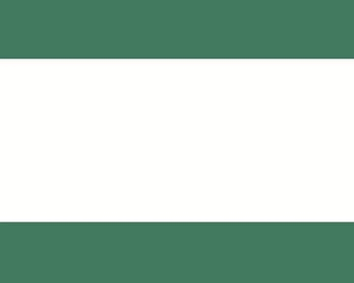 西游记的故事25通天河的大鱼怪第5集 西游记的故事25通天河的大鱼怪第5集