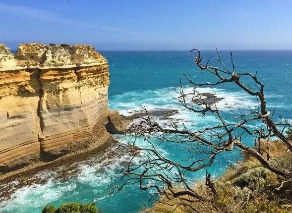 澳大利亚自由行旅游签证详解