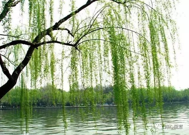 千古绝唱《诗经.采薇》昔我往矣,杨柳依依;今我