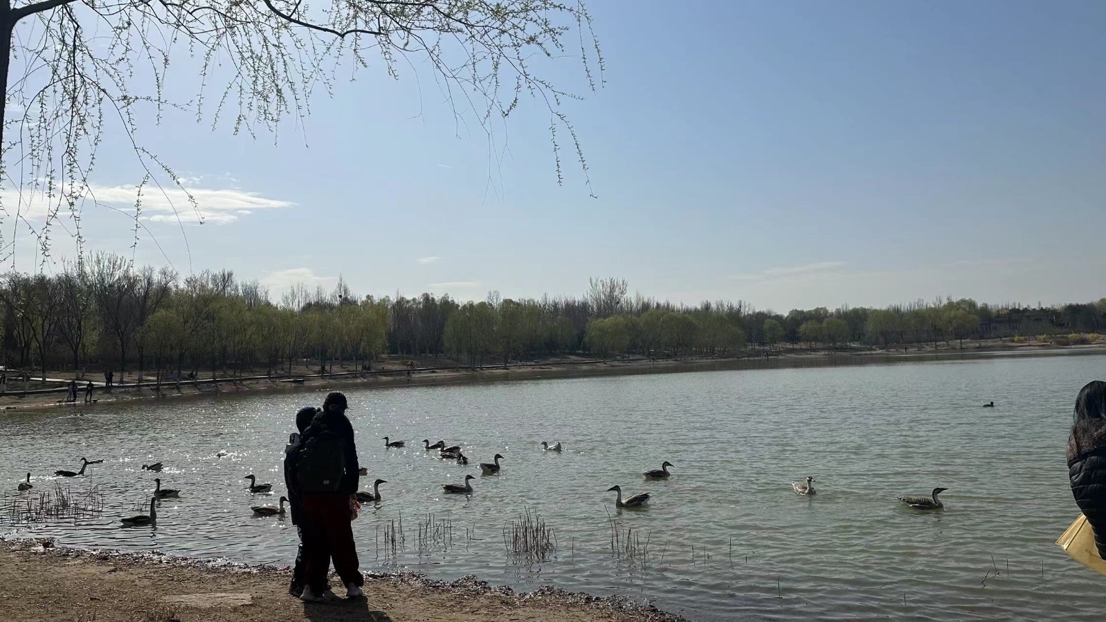 回温啦!今天晴间多云最高温25℃ 未来三天天气晴朗 回温啦!今天晴间多云最高温25℃ 未来三天天气晴朗