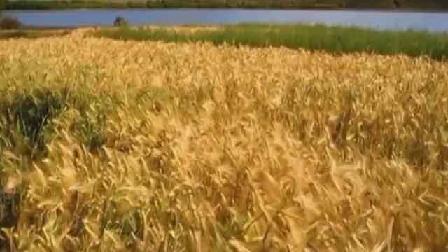 新三板观察20200826:走进精选层:专研“农化”的颖泰生物 新三板观察20200826:走进精选层:专研“农化”的颖泰生物