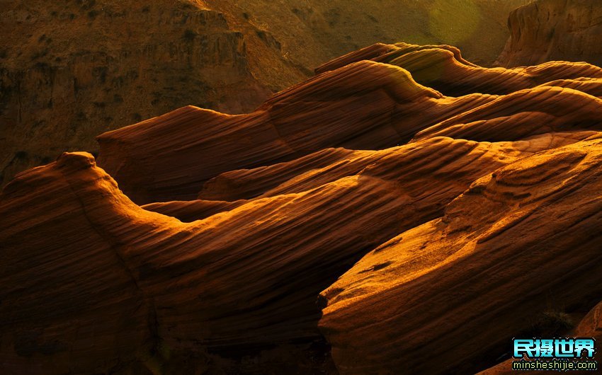 额济纳胡杨林摄影团-怪树林-七彩丹霞-波浪谷-雨岔大峡谷摄影 额济纳胡杨林摄影团-怪树林-七彩丹霞-波浪谷-雨岔大峡谷摄影