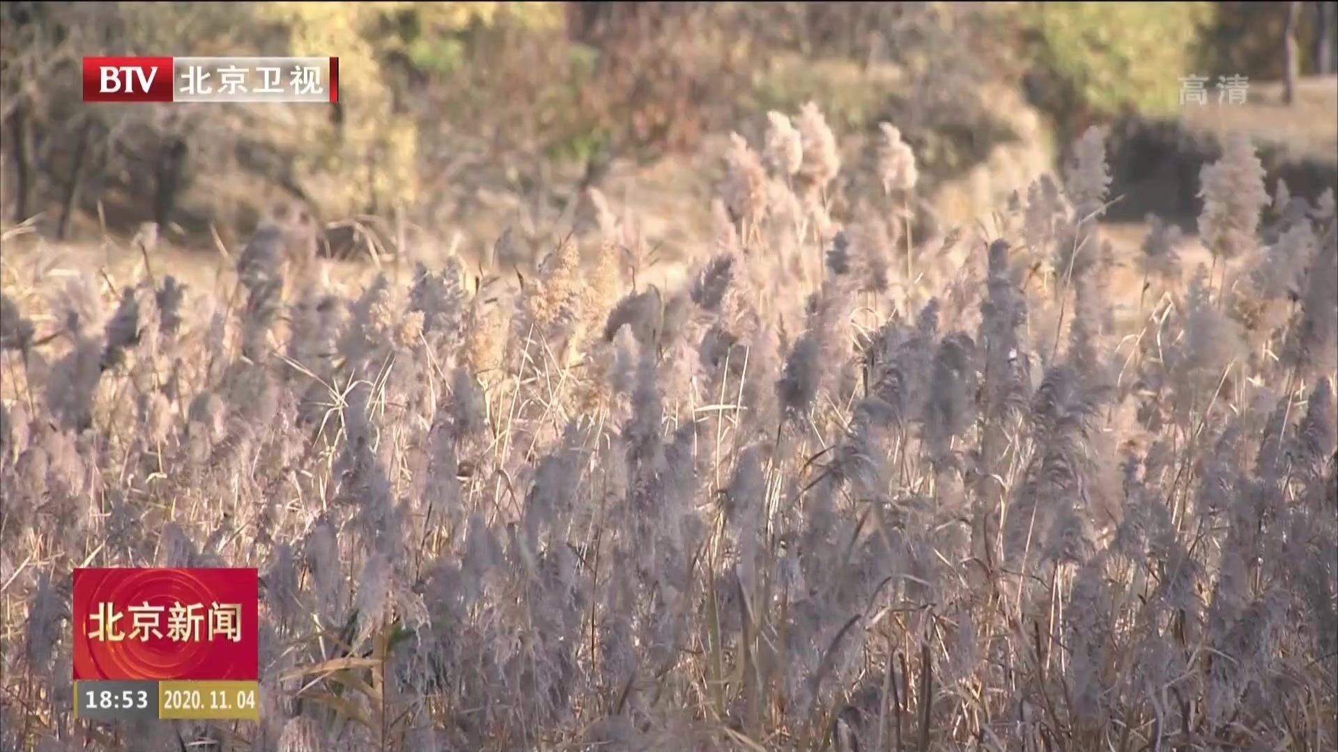 圆明园秋色浓郁 生态美景营造舒适游园环境