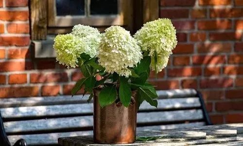 2018老同学聚会三大纪律,每位同学最好看看!牢