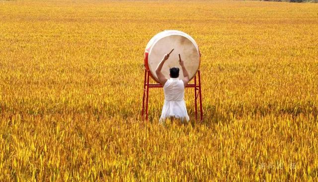 最新农村创业致富项目,十大暴利行业,农村创业