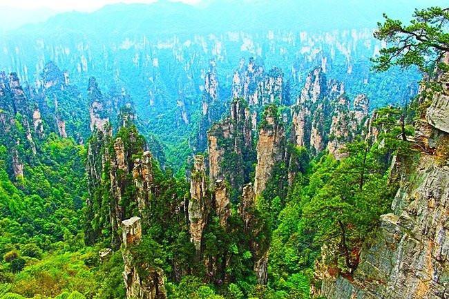 2017详细张家界凤凰旅游报团价格