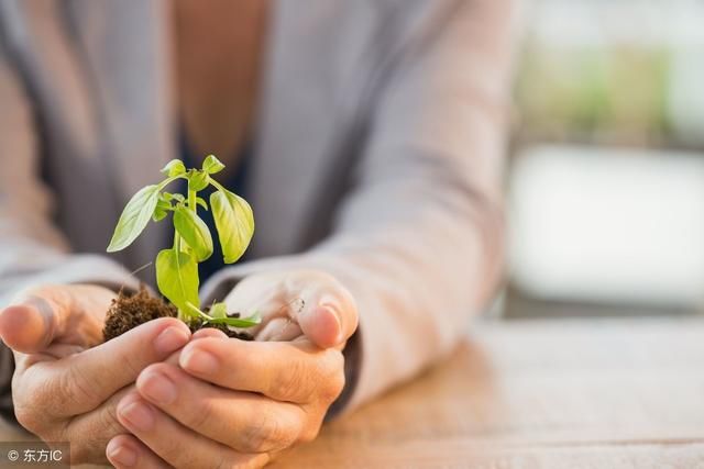 跟团去国外旅游到底好不好?