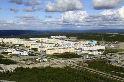 西伯利亚惊现2亿年前“怪物木乃伊” 西伯利亚惊现2亿年前“怪物木乃伊”