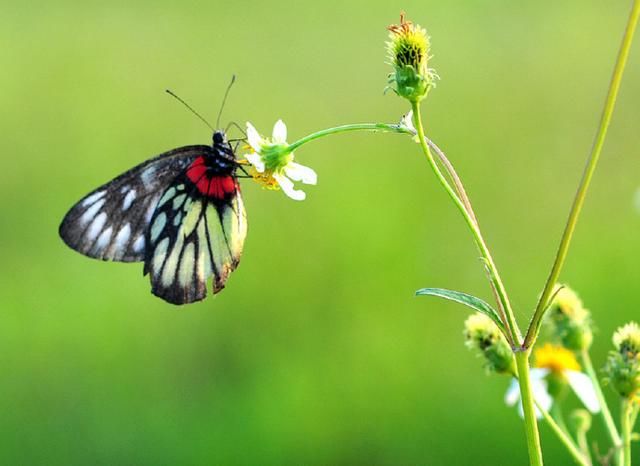 朋友圈最近很火的一段话配图,句句精辟,穿透人