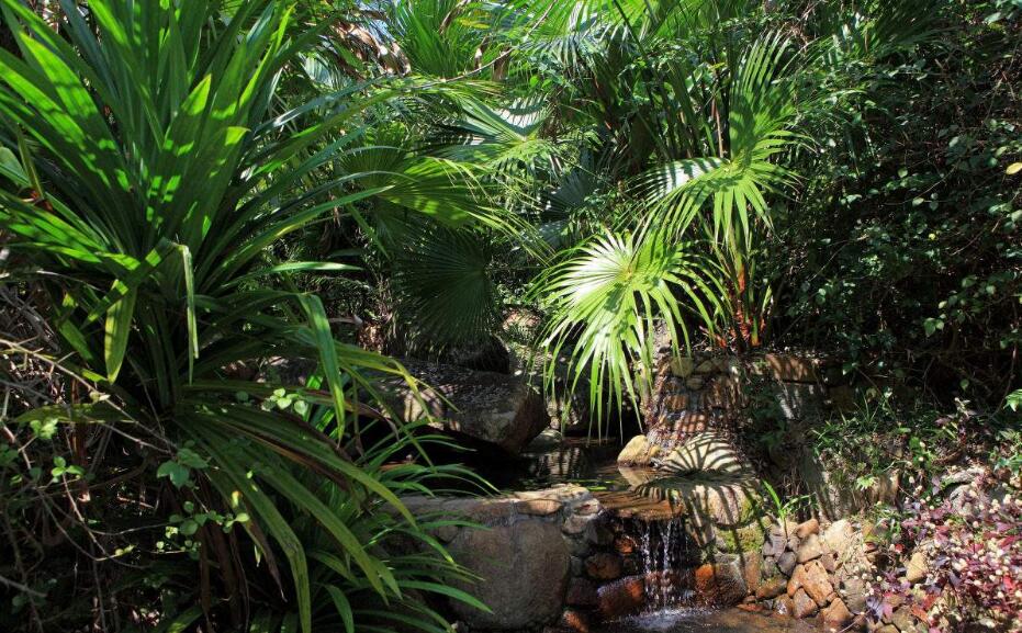 2018海南清明节天气预报 清明节去海南旅游气