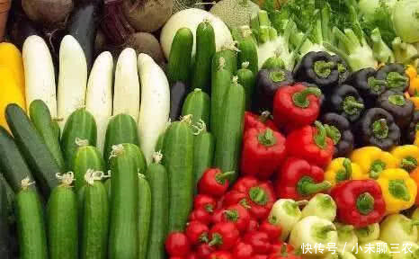 日本人农业模式让我汗颜!