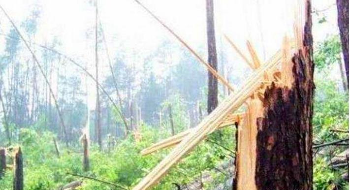 中国90年代发生的UFO大事件空中怪车, 专家解