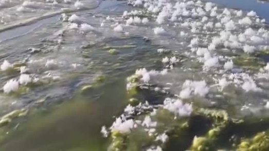 绝美!中国极冷之地冰花盛开 绝美!中国极冷之地冰花盛开